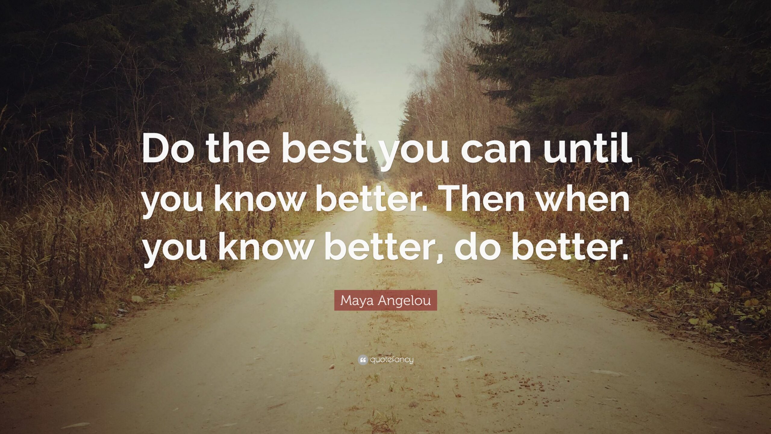"Do the best you can until you know better. Then when you know better, do better." - Maya Angelou